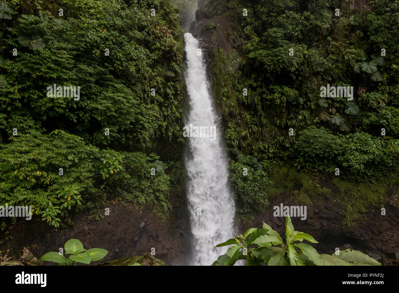 La Paz Wasserfall Neben dem touristischen Straße, Alajuela, Vara Blanca, Costa Rica Stockfoto