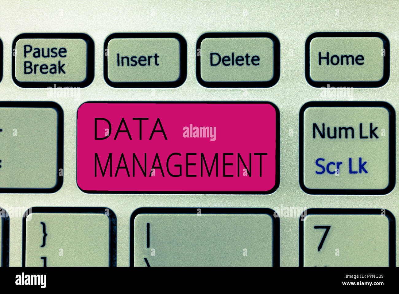 Wort schreiben Text Data Management. Business Konzept für die Praxis der Organisation und Aufrechterhaltung der Prozesse. Stockfoto