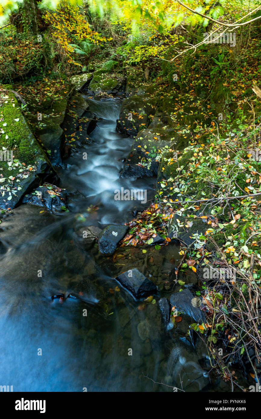 Mill Race Wasserfall. Kürbisfest, Dekan Heritage Center, Wald von Dean. Stockfoto