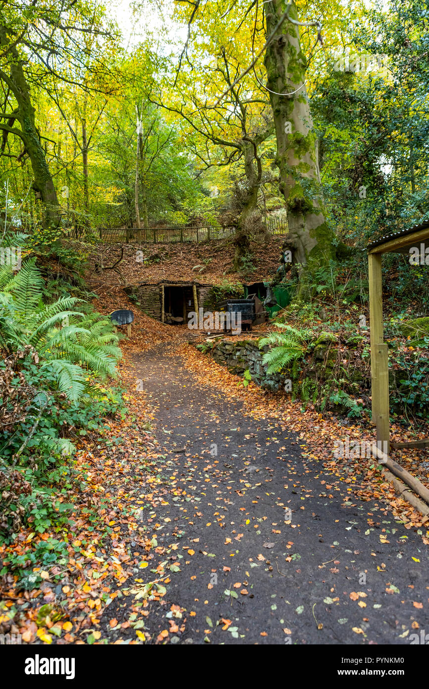 Waldwege. Kürbisfest, Dekan Heritage Center, Wald von Dean. Stockfoto