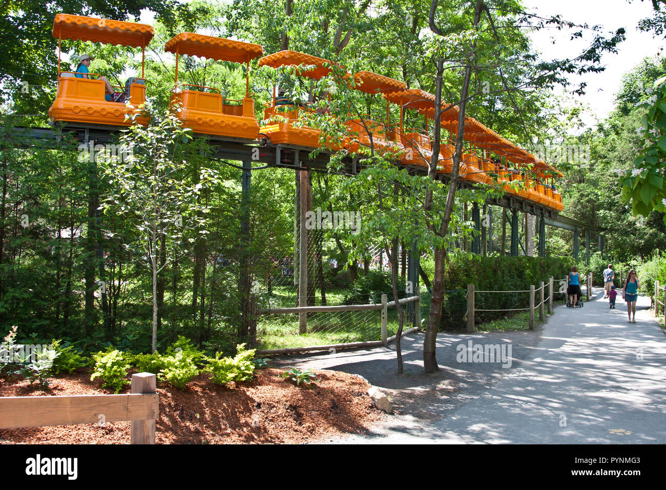 Granby Quebec, Eastern Townships, treetop Fahrt Stockfoto