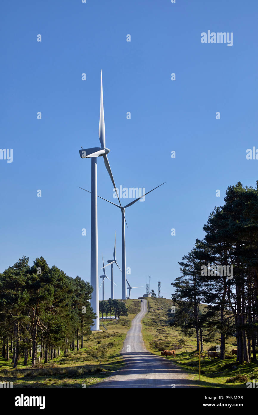 Windpark auf Kante an den Alto de la Casa del Puerto (Höhe 1025 m). In der Nähe von Tineo, Asturien, Spanien. Stockfoto