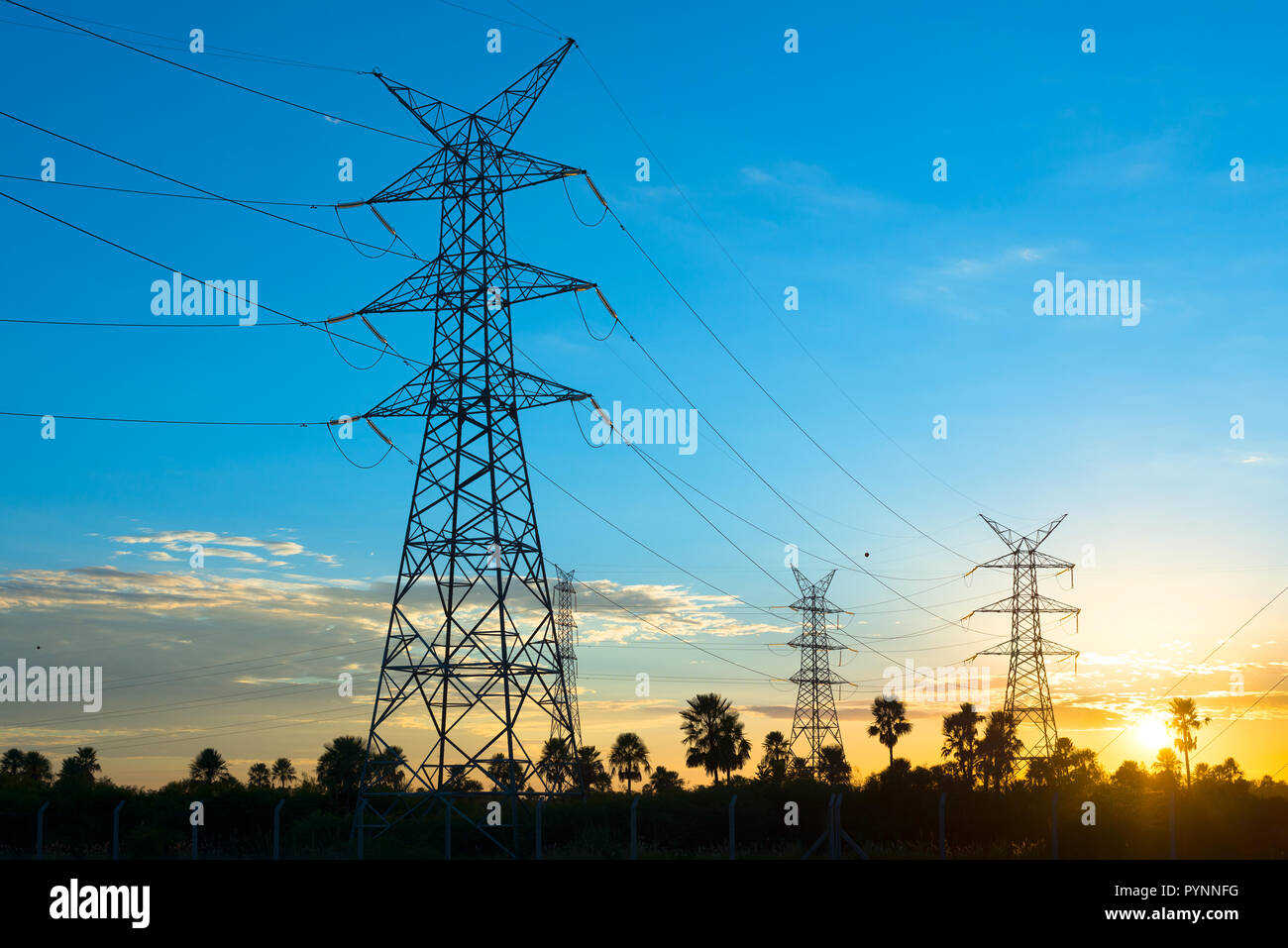 Stromleitungen bei Sonnenaufgang in Asuncion, Paraguay Stockfoto