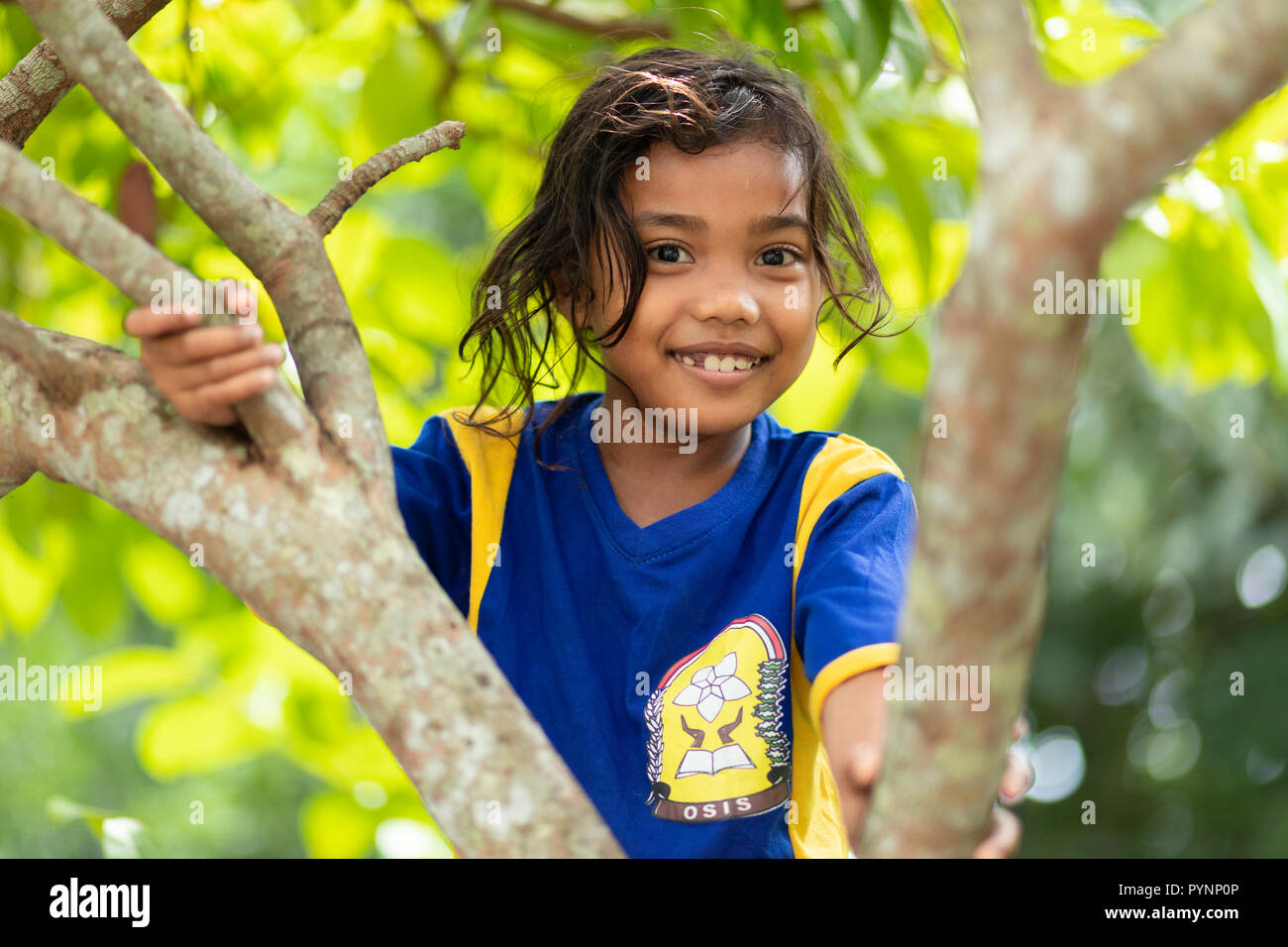 BANDA NEIRA, Sumatra, Indonesien, 17. Dezember 2017: Porträt eines lächelnden süßes kleines Mädchen klettern auf einen Baum in Banda Neira, Komodo, Stockfoto