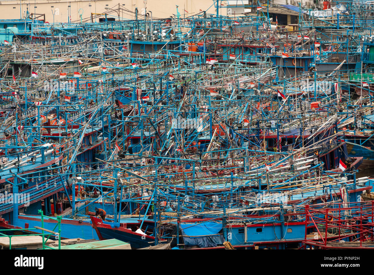 Hunderte von squid Fischerboote im Hafen Hafen der Jakarta, Indonesien Stockfoto