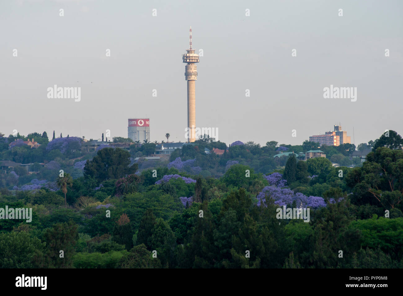 Johannesburg, Südafrika, 29. Oktober, 2018. Bäume sind in den Vordergrund der Skyline in Johannesburg gesehen, kurz vor Sonnenuntergang, Montag. Obwohl urban, die Innenstadt von Johannesburg ist von Bäumen umgeben. Eva-Lotta Jansson/Alamy leben Nachrichten Stockfoto