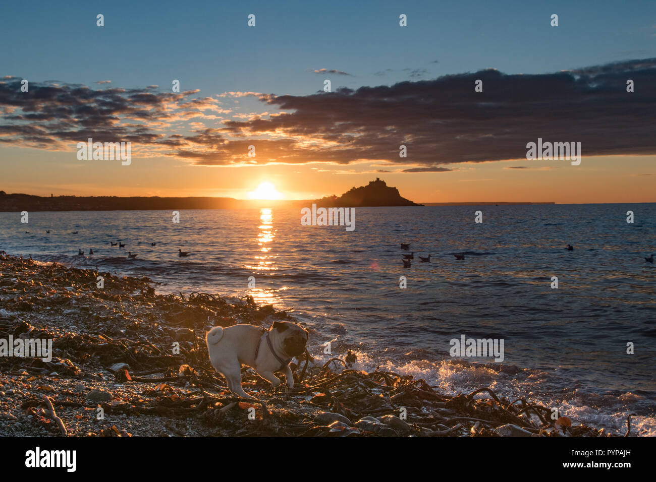 Langen Felsformation, Cornwall, UK. 30 Okt, 2018. UK Wetter. Sonnenaufgang am Strand von langen Felsformation. Foto: Simon Maycock/Alamy leben Nachrichten Stockfoto