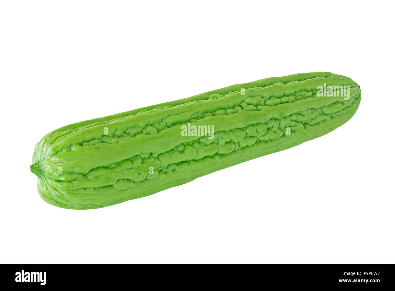 Isolieren Balsam balsam Apfel, Birne, Gurke, Kürbis bitter bitter, bitter Melone auf weißem Hintergrund Stockfoto