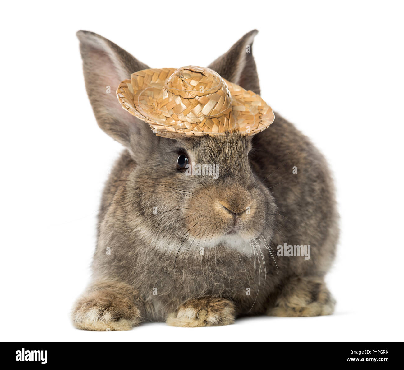 Kaninchen trägt einen Strohhut, isoliert auf weißem Stockfoto