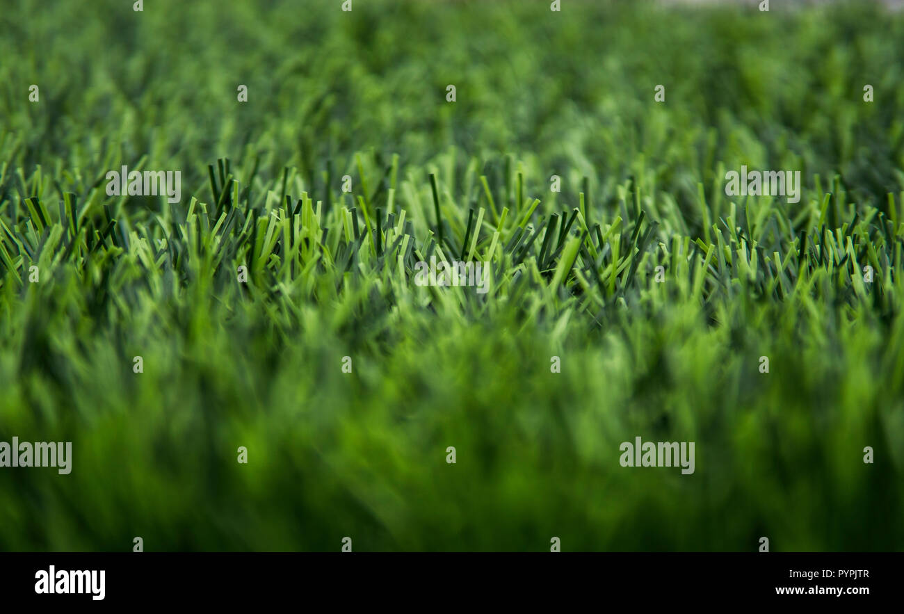 Künstliche Green Grass Textur Hintergrund der Seite. Stockfoto