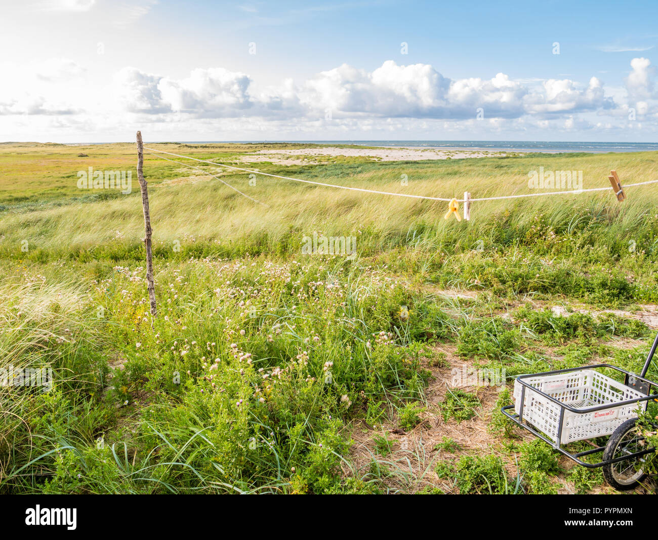 Dünenlandschaft der Nordseeküste mit Wäscheleine und Karre auf Boschplaat auf friesischen Insel Terschelling, Niederlande Stockfoto