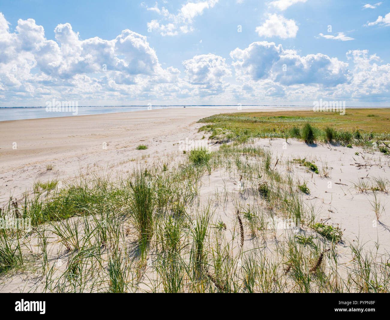 Blick auf Dünen mit marram Gras, Salzwiesen, Strand und Wattenmeer von friesischen Insel Schiermonnikoog, Niederlande Stockfoto