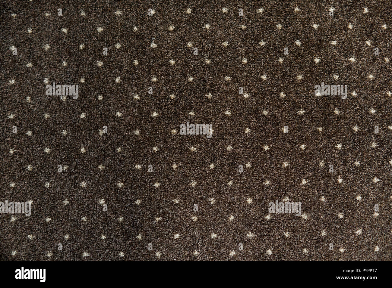 Brauner Teppich Mit Weissen Punkten Textur Indoor Teppich Schiessen