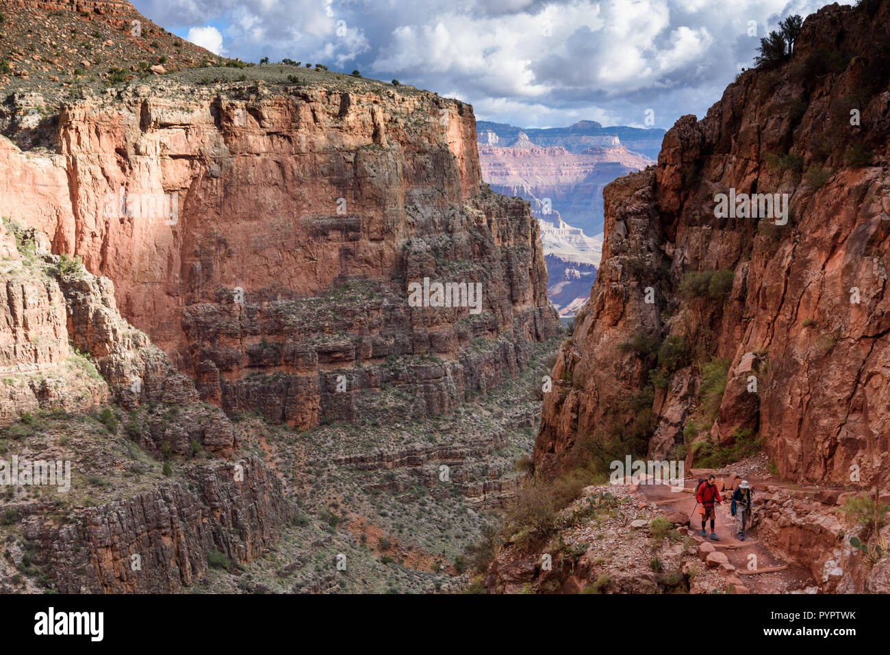 Wandern auf dem Bright Angel Trail, Grand Canyon National Park, Arizona, USA. Stockfoto