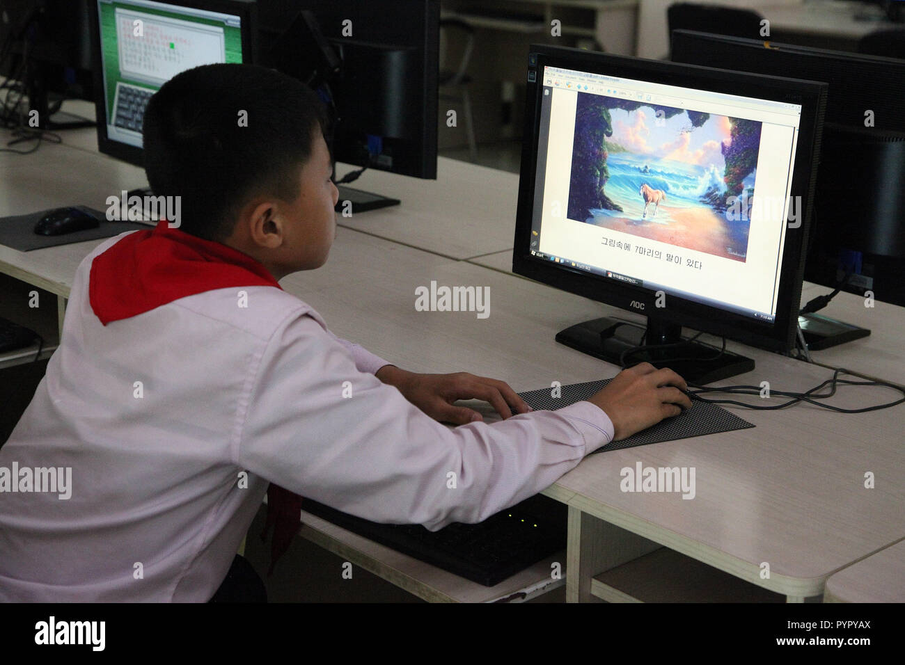 Student an Chongjin elektronische Bibliothek Stockfoto