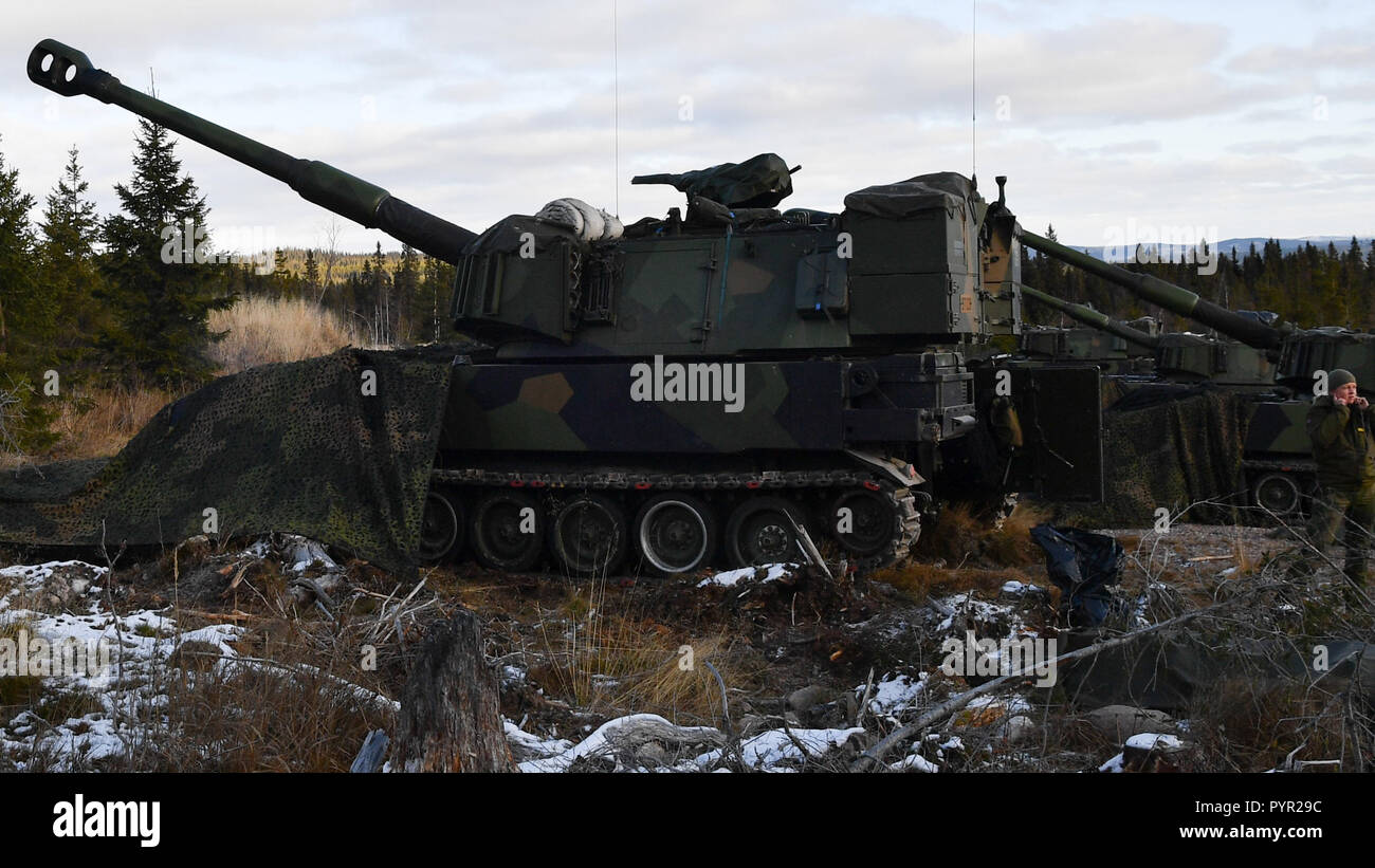 Eine norwegische Haubitze Batterie officer Blöcke ihre Ohren in Erwartung der Runde downrange Rena Schießplatz, Norwegen am 27. Oktober 2018. Die Einheit ist ein Teil der NATO Sehr hohe Bereitschaft der Gemeinsamen Task Force, die in Norwegen ist die Ausübung als Teil der Trident Zeitpunkt 2018. Die NATO und Norwegen sind mit der größten militärischen Übungen überhaupt im Land statt. Im Oktober und November, rund 50.000 Teilnehmer aus NATO und seine Partner sind in Norwegen für übung Trident Zeitpunkt 2018. Die Ausübung Tests der militärischen Kette von der Truppe Ausbildung an der taktischen Ebene, über große Kräfte. It tr Stockfoto