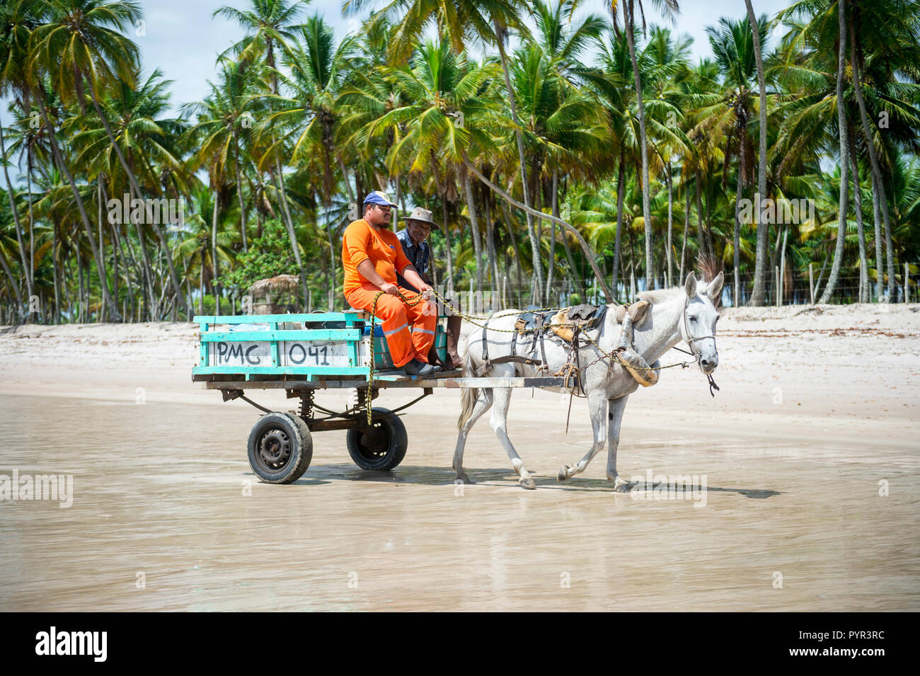 CAIRU, BAHIA, BRASILIEN - ca. Februar 2018: Brasilianische Arbeiter fahren mit dem Warenkorb durch ein Maultier über einen leeren Strand gezogen Stockfoto