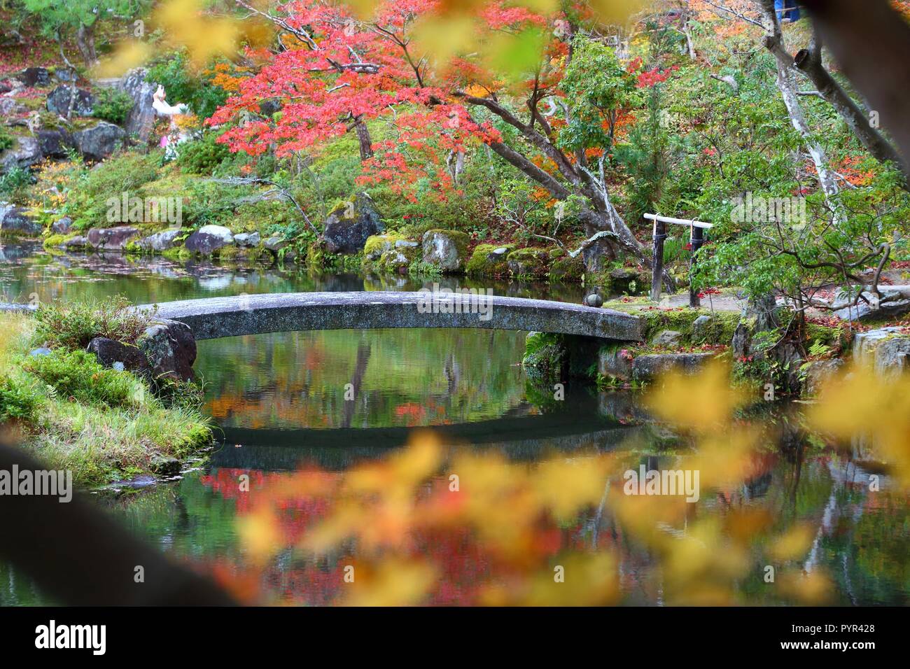 Traditionelle japanische Garten im Herbst - Isuien Garten von Nara, Japan. Herbst Laub. Stockfoto