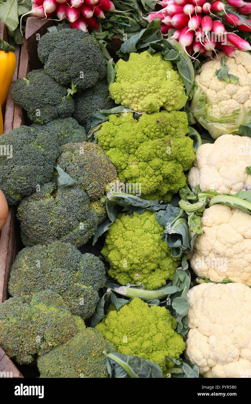 Bio Brokkoli - Gemüse Laden in London, UK. Stockfoto