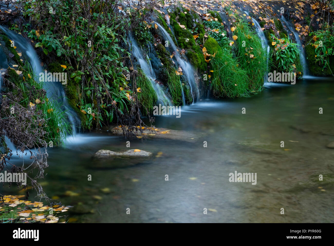 Blätter im Herbst in der Wassermühle, Fluss Vinalopo, Banyeres de Mariola, Ruta de los Molinos, Provinz Alicante, Comunidad Valenciana, Spanien Stockfoto