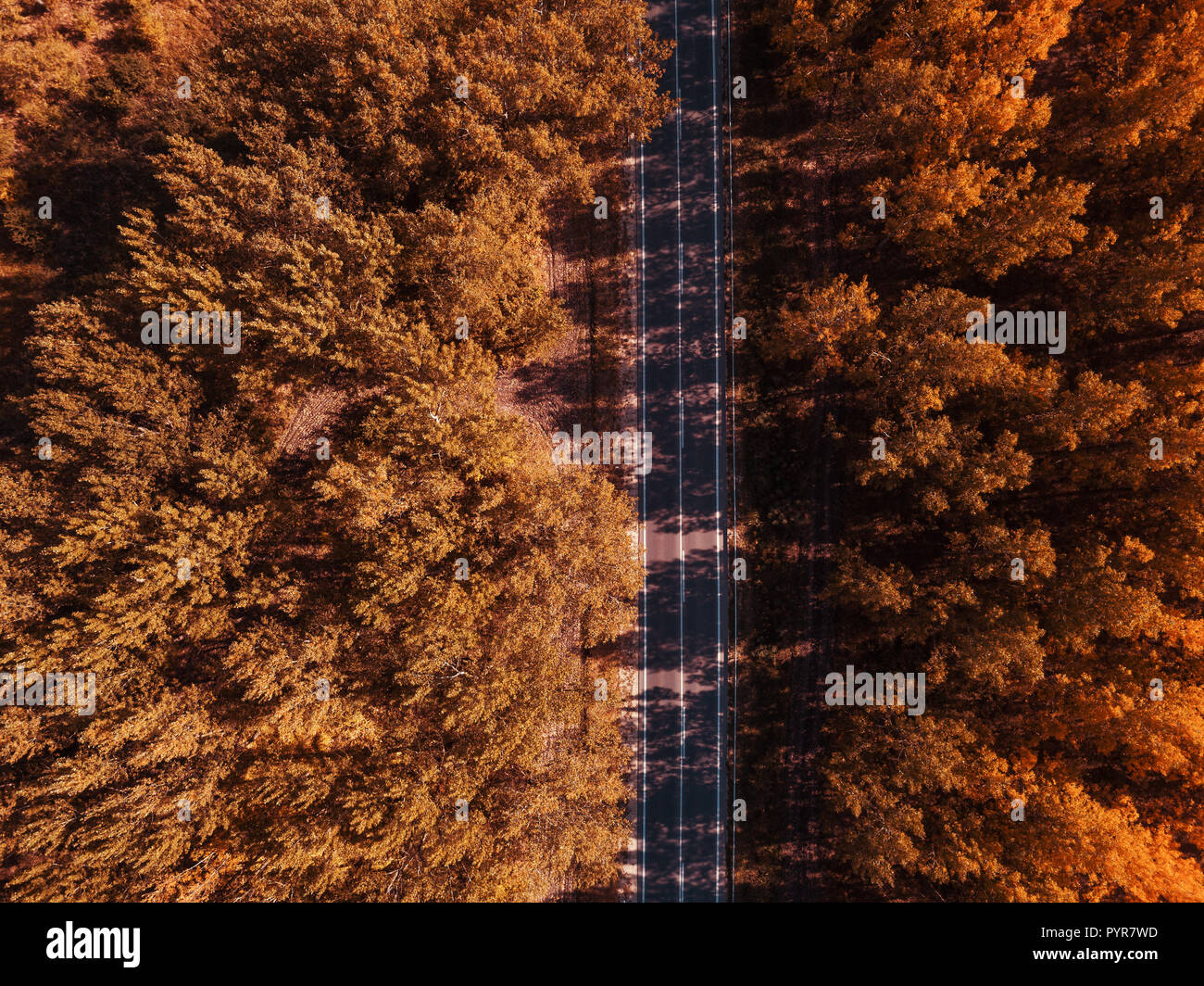 Luftaufnahmen von leeren Straße durch Wald, Ansicht von oben drone Sicht Stockfoto