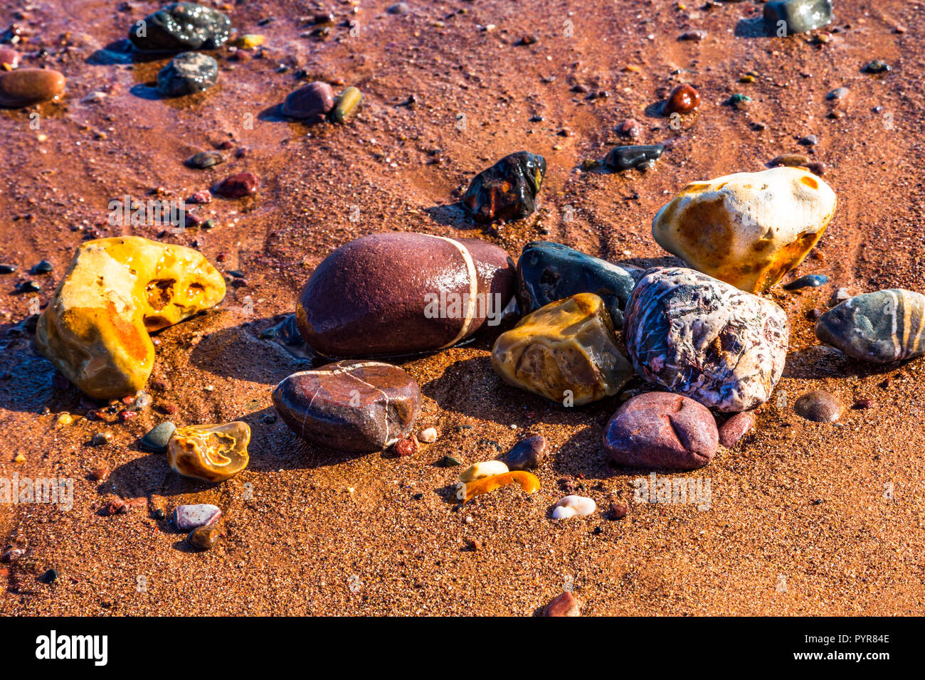 Bunte Kieselsteine an einem Sandstrand in Devon, Großbritannien. Stockfoto