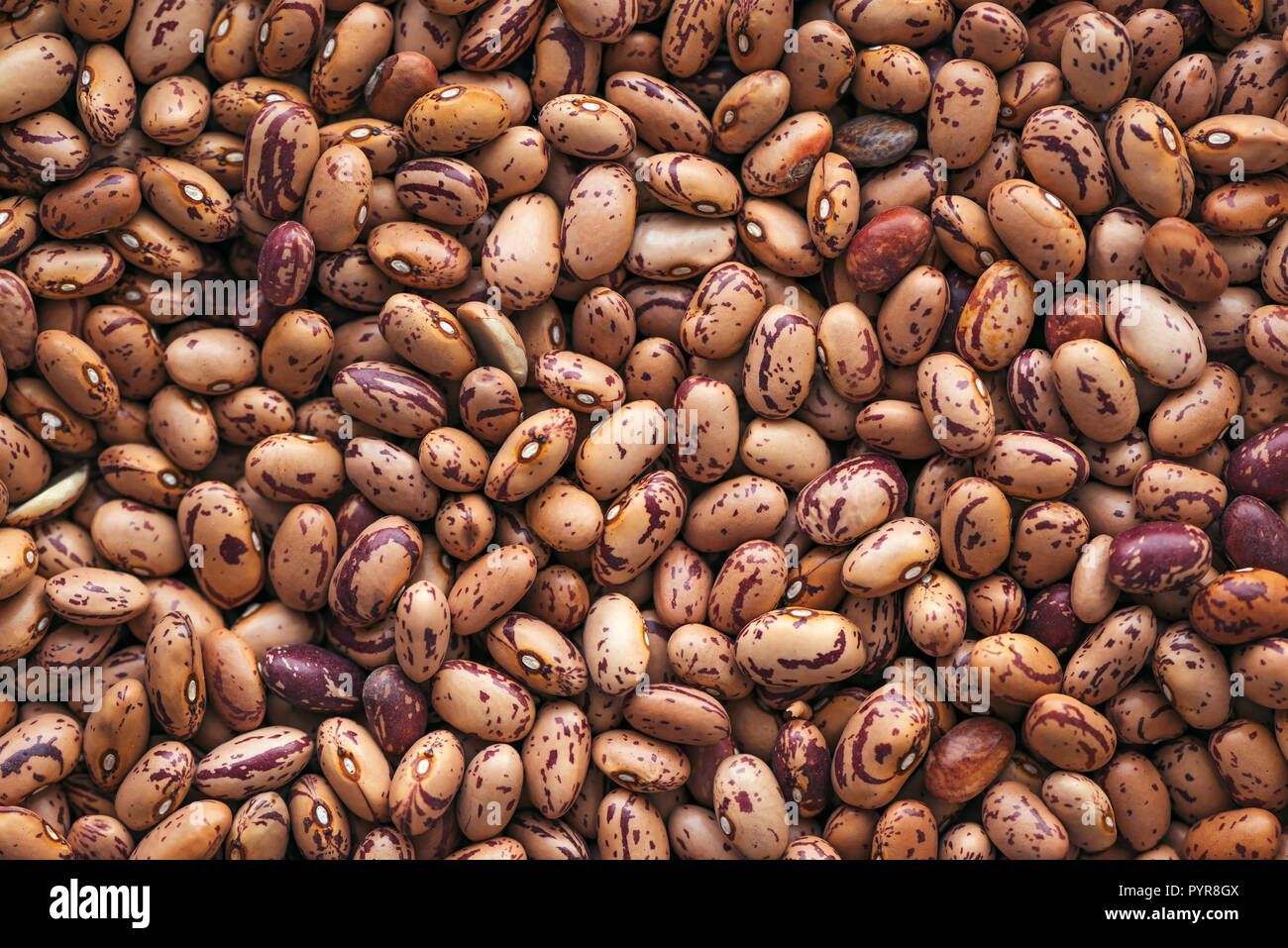 Pinto bean von oben, Blick von oben auf die gesunden Hülsenfrüchte Bohnen als Hintergrund- oder Textur Stockfoto