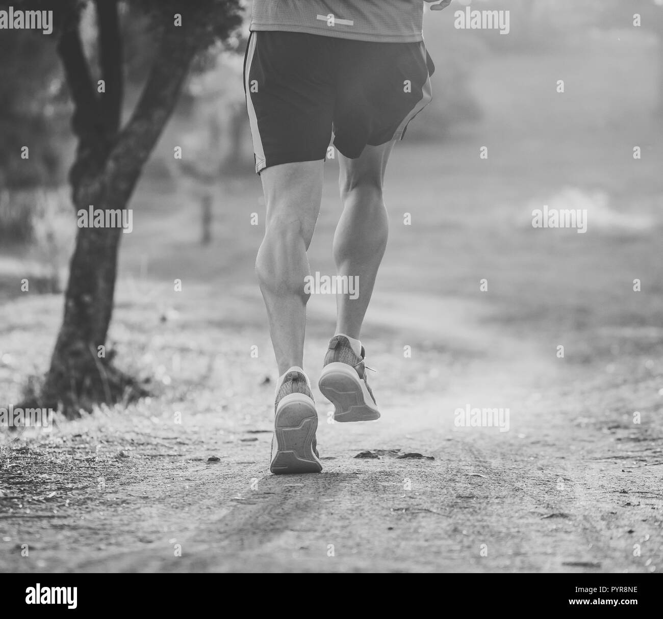 Rückansicht der Sport Menschen mit zerrissenen sportlichen und muskulösen Beine, die Straße in der Natur im Herbst Sonnenuntergang in joggen Training Training in die Landschaft i Stockfoto