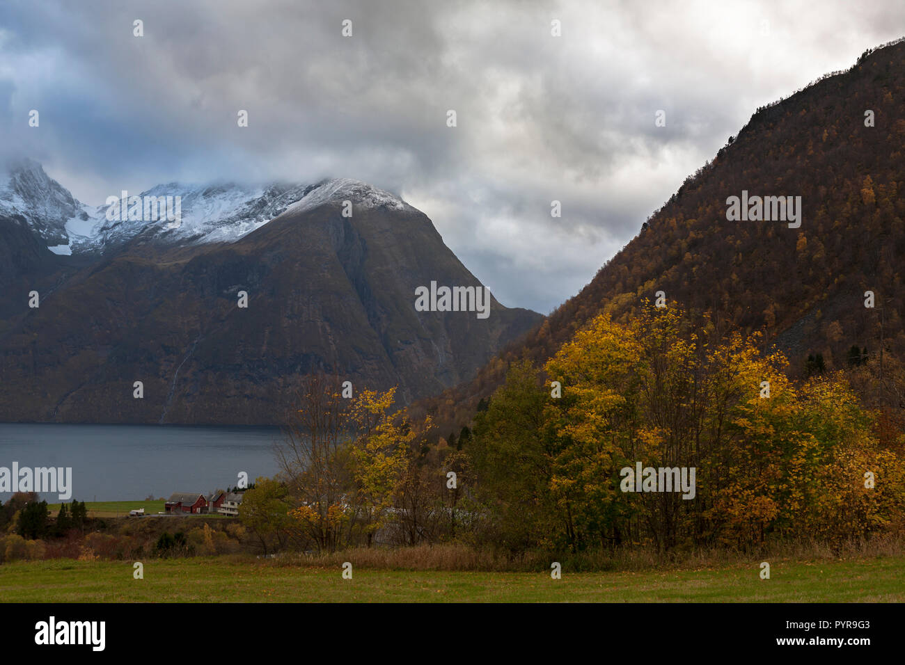 Herbst Farbe in Urke auf der Norangsfjord, Østfold, Norwegen Stockfoto