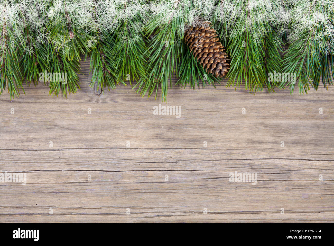 Weihnachten Tannenbaum auf einem hölzernen Hintergrund Stockfoto