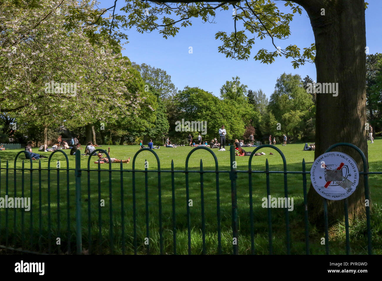 Kein Alkohol am Geländer in öffentlichen Park Belfast. Botanic Gardens Belfast. Stockfoto