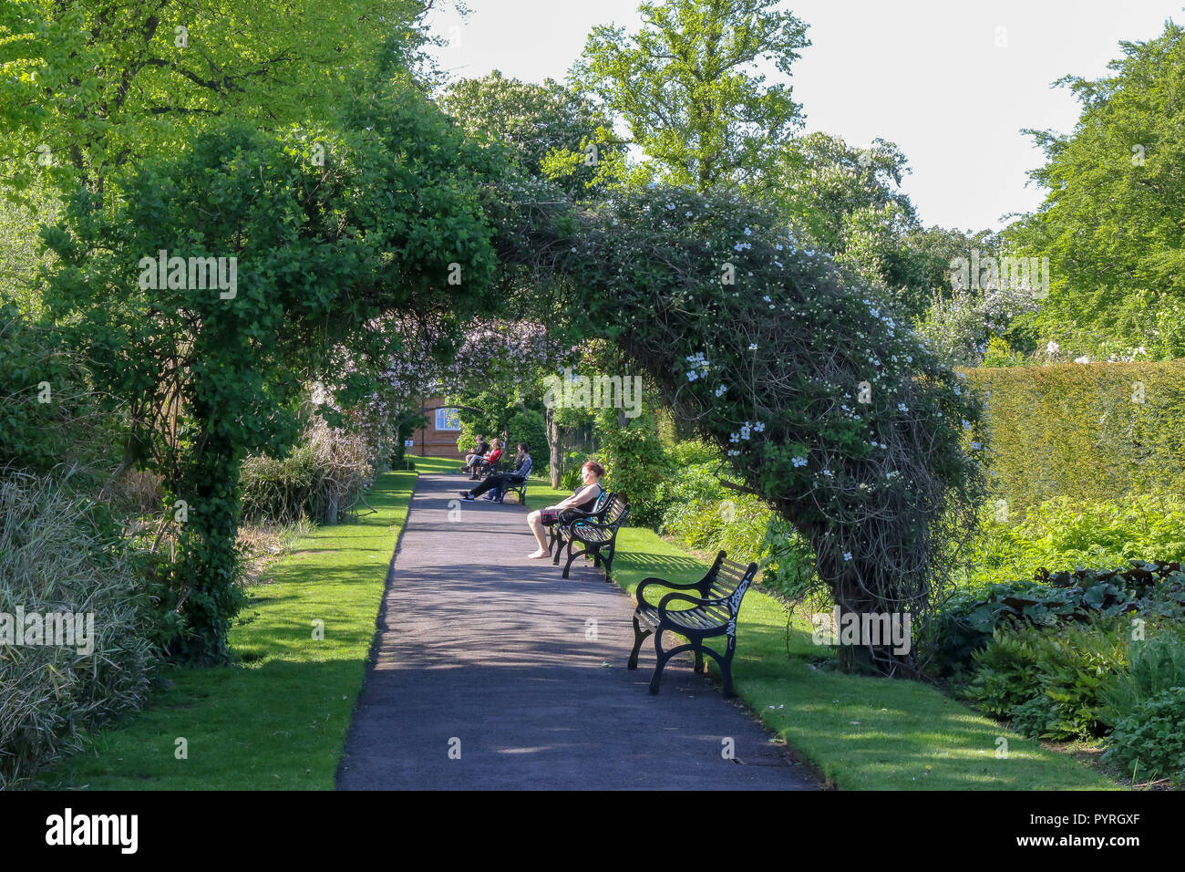 Botanic Gardens Belfast Stockfoto