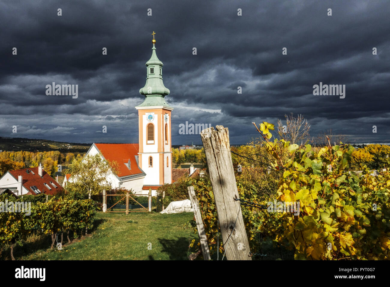 Herbst im Österreichischen Weinberge. Das Kahlenbergerdorf Kirche in der Nähe von Wien, Niederösterreich, sonniger Tag mit einer dunklen Himmel Stockfoto
