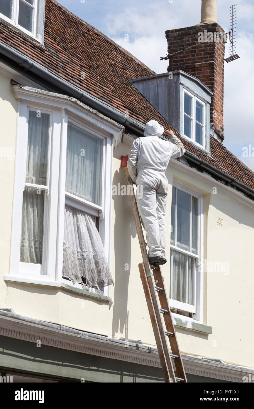 Maler auf der Leiter Malerei tragen weiße Schutzkleidung Overalls, Woodbridge, Suffolk, England, Großbritannien Stockfoto
