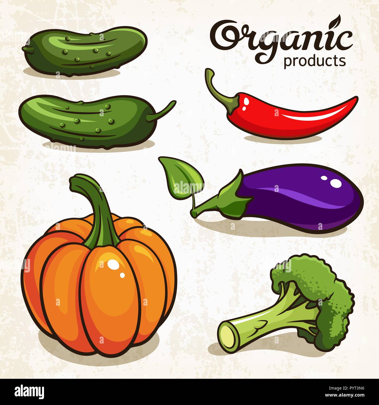 Vector Illustration von Gemüse: Aubergine, Paprika, Brokkoli, Kürbis, Gurken Stock Vektor
