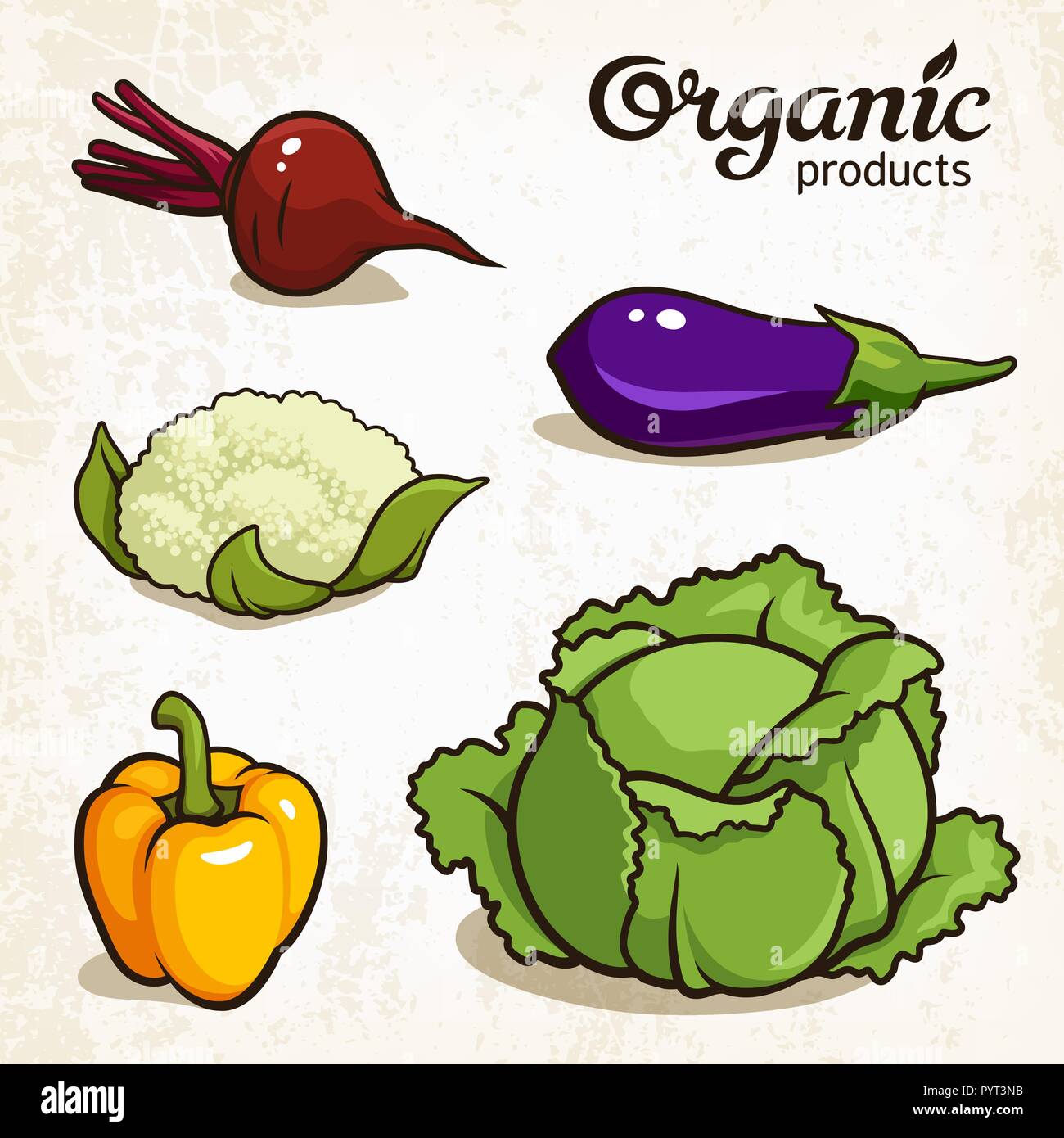 Vector Illustration von Gemüse: Rote Beete, Aubergine, Blumenkohl, Paprika, Kohl Stock Vektor