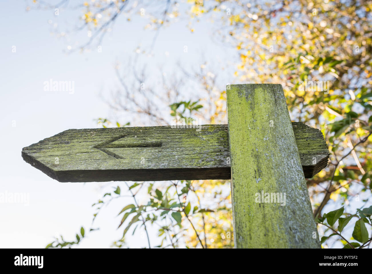 Holz- Hinweisschild, Pfeil, der die Art und Weise, Stockfoto