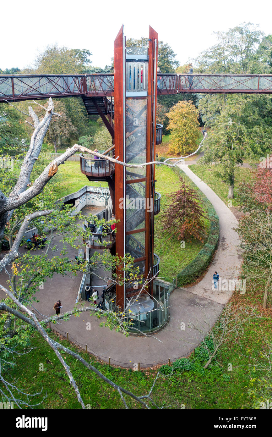 Mit dem Aufzug in die Antenne Gehweg in Kew Gardens, London Stockfoto