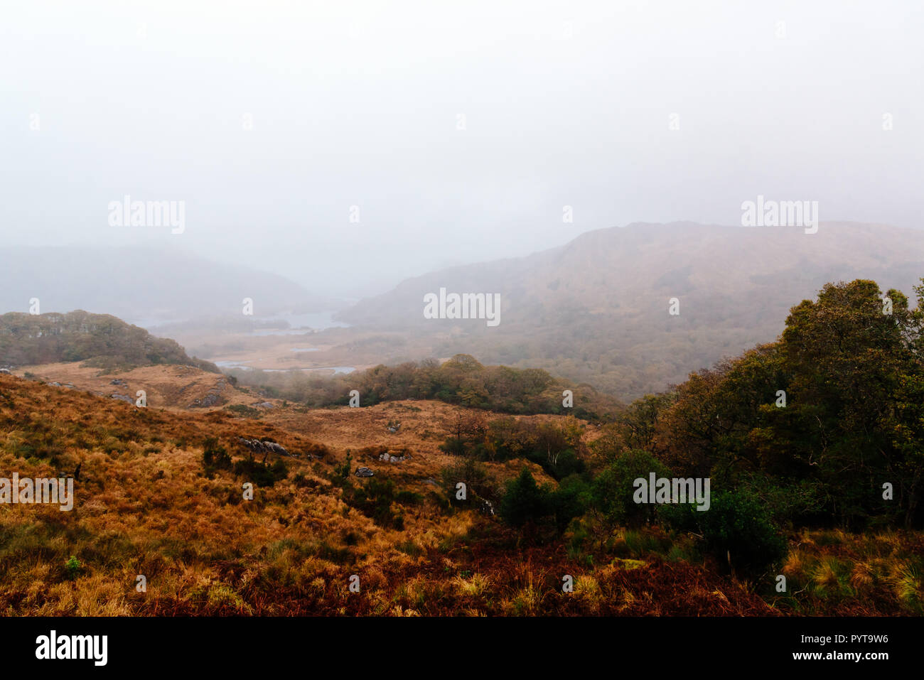 Malerischer Blick auf Molls Gap in der Grafschaft Kerry in Irland einem nebligen Tag im Herbst Stockfoto