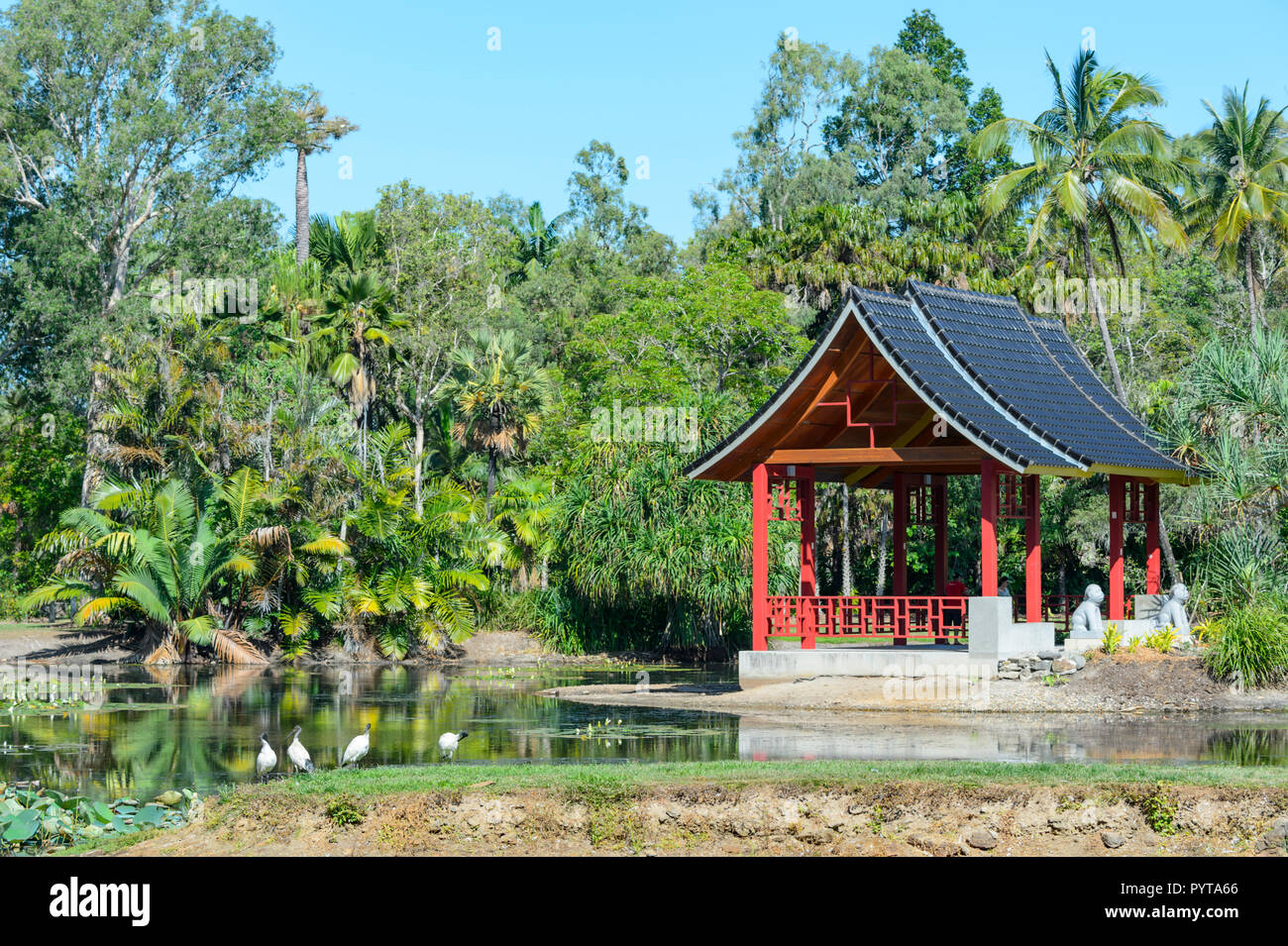 Zhanjiang Chinese Friendship Pavillon in Cairns Botanic Gardens, Edge Hill, Far North Queensland, FNQ, QLD, Australien Stockfoto
