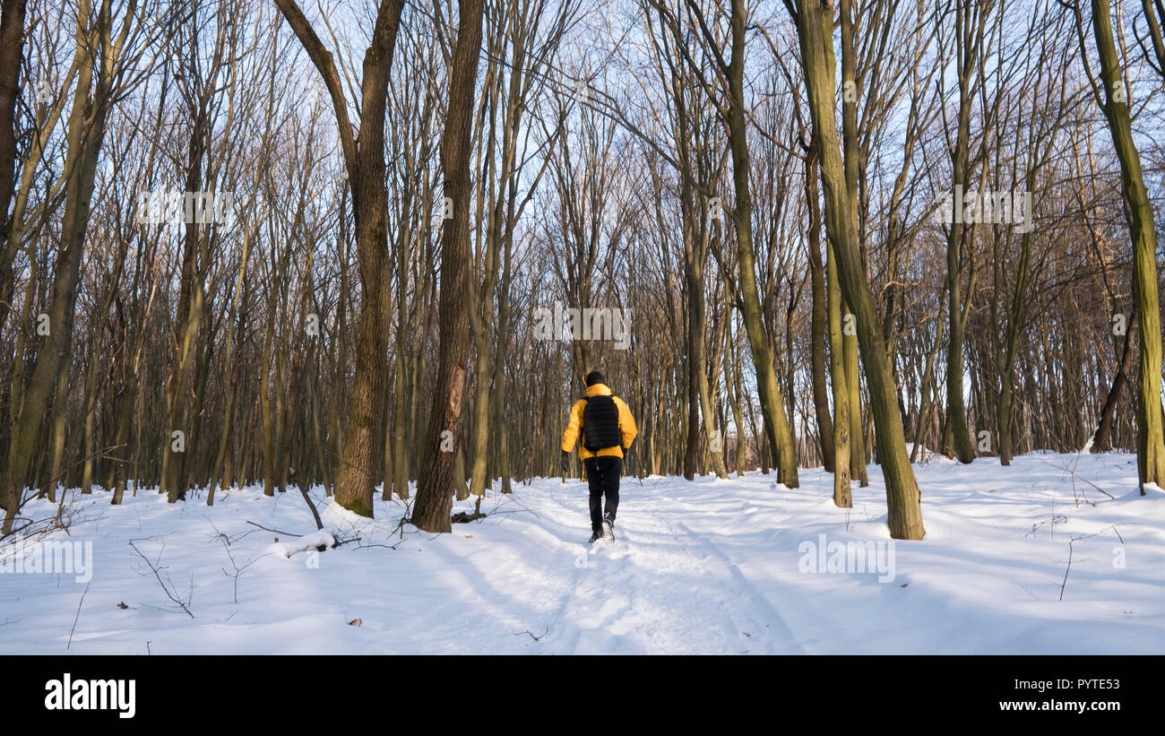 Mann in einer gelben Jacke und mit einem schwarzen Foto Rucksack wandern im sonnigen Wald bedeckt mit Schnee. Stockfoto