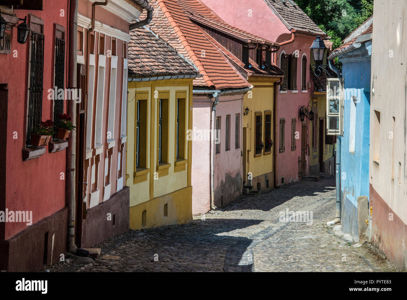 Rumänien Sighisoara. Engen, kopfsteingepflasterten Straßen sind typisch für die Altstadt von Sighisoara, ein UNESCO-Weltkulturerbe Stockfoto