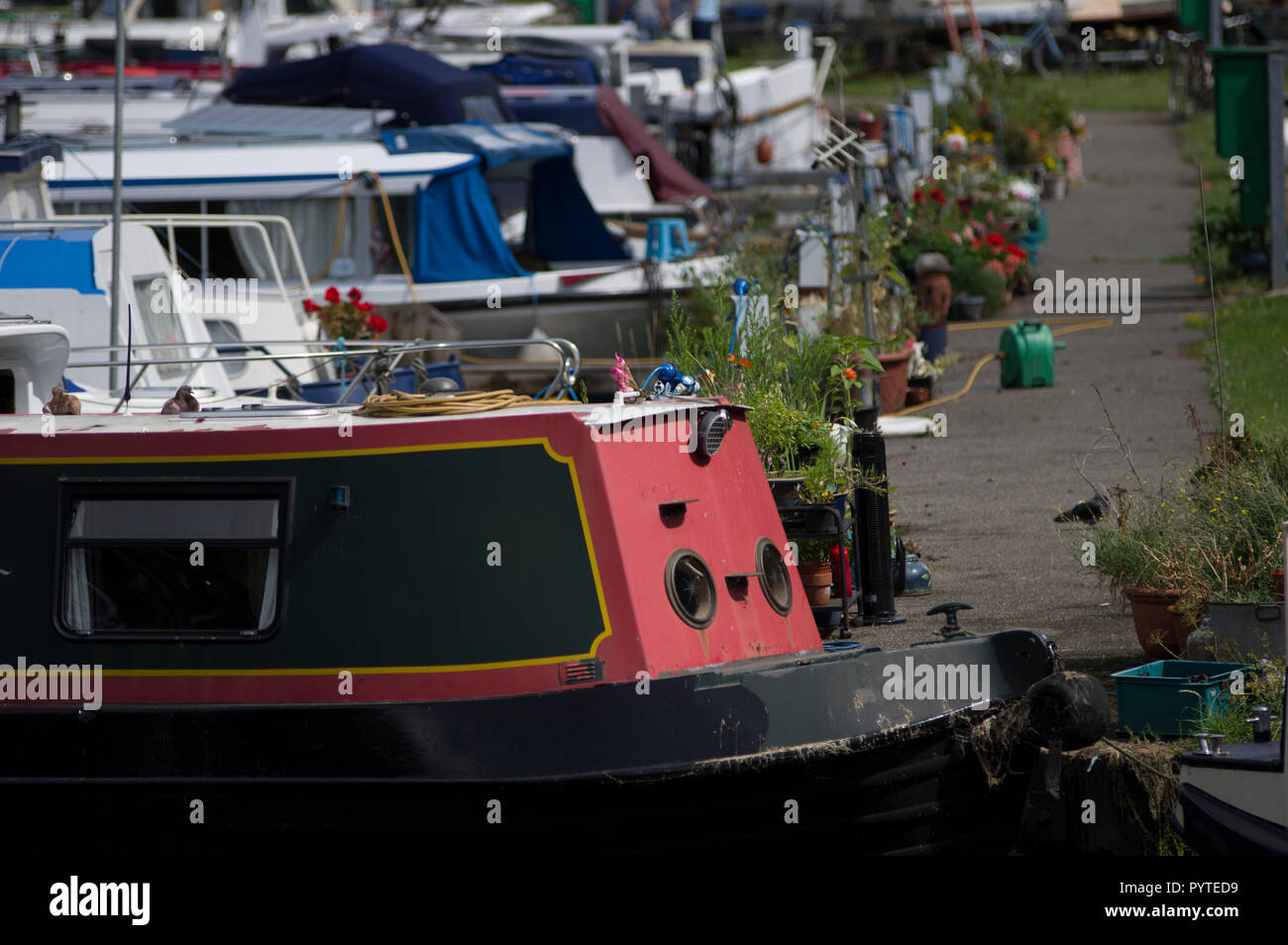 Haus Boote in Lee Valley Marina in Springfield Park Stamford Hill/Stoke Newington London UK Stockfoto