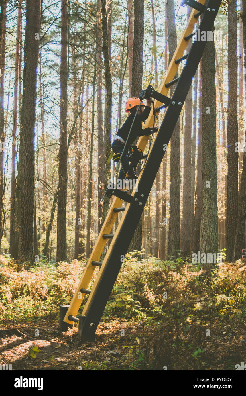 Tree Top Trail. Pfad in den Bäumen. Sport aktiv. Erholung. Herbst Szenen. Stockfoto