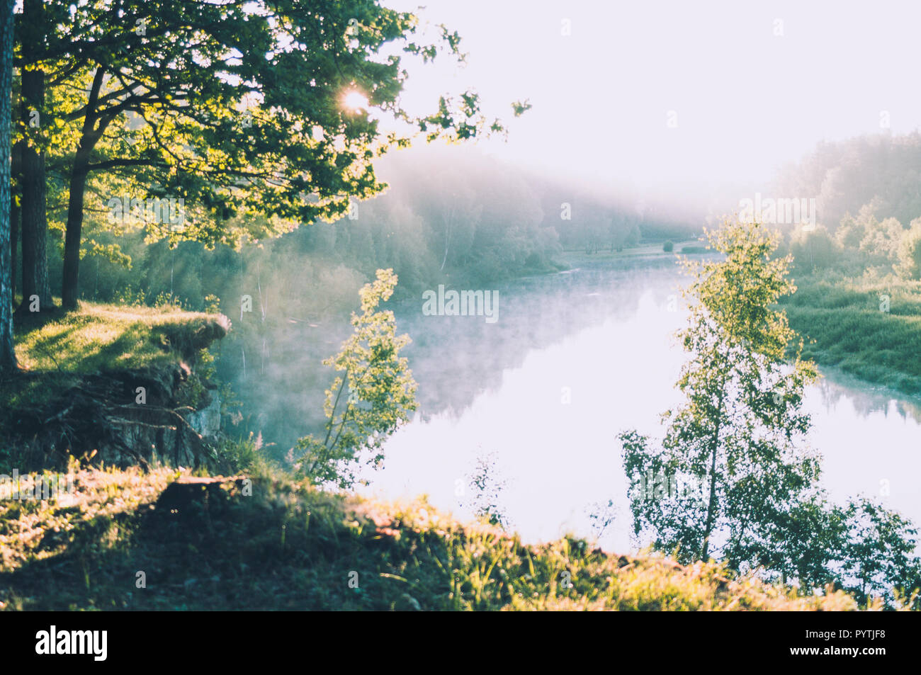 Schönen sonnigen Morgen. Weißer Nebel legt über den Fluss. Stockfoto