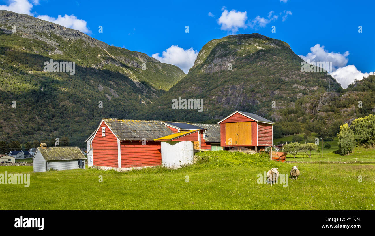 Scheunen und Schafe in einer Farm Dorf in der Hardangervidda Nationalpark Norwegen Stockfoto