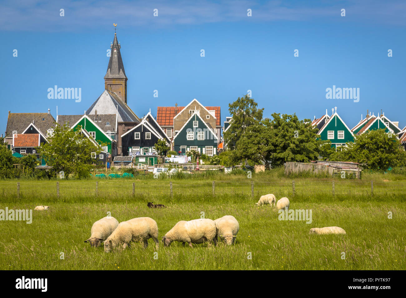 Blick auf traditionelle niederländische Dorf mit bunten Holzhäuser und Kirche mit Schaf auf den Vordergrund auf der Insel Marken im Ijsselmeer oder für Stockfoto