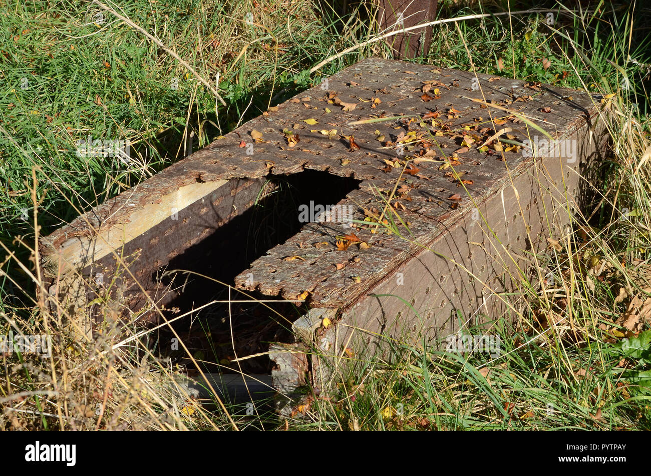 Die Überreste eines verlassenen gut-Box in einem Fischerdorf. Stockfoto