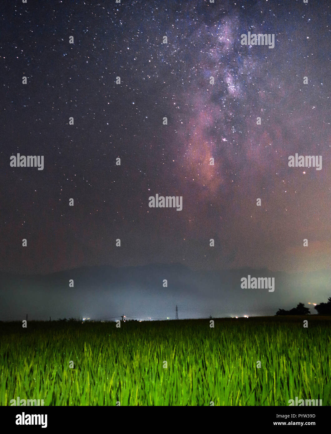 Milchstraße über die grünen Reisfelder in der Nacht. Stockfoto