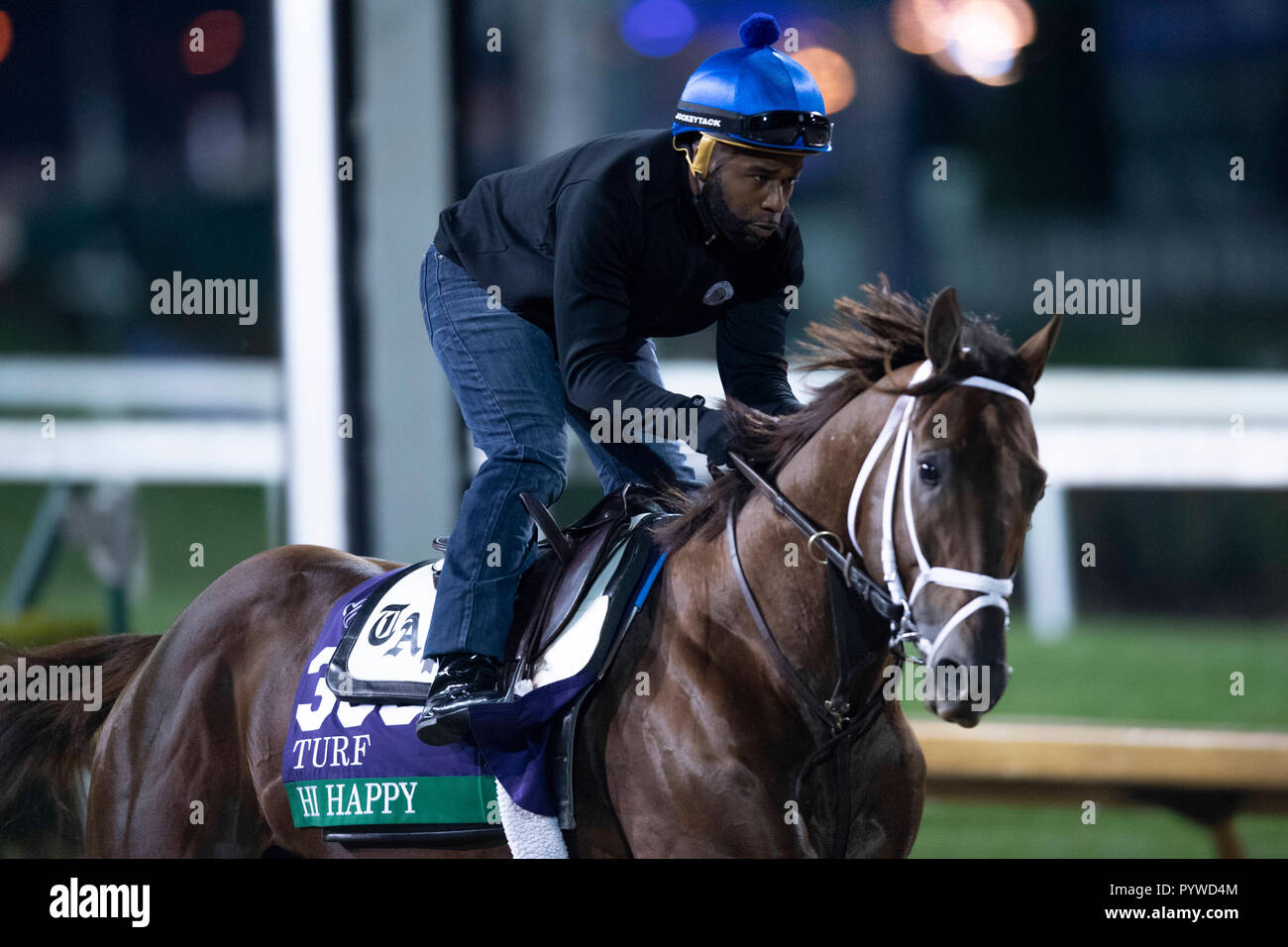 Louisville, KY, USA. 30 Okt, 2018. Oktober 30, 2018: Hi glücklich (ARG), ausgebildet von Todd A. Pletcher, Übungen in der Vorbereitung für den Breeders' Cup Turf in der Churchill Downs am 30. Oktober 2018 in Louisville, Kentucky. Michael Sportswire McInally/Eclipse/CSM/Alamy leben Nachrichten Stockfoto